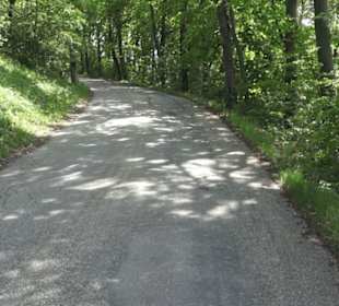 Kreuzweg auf dem Hohenrechberg