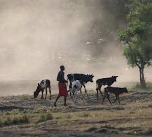 Queen Elizabeth National Park