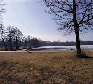 Der kleine Dutzendteich nur wenig Wasser im Winter
