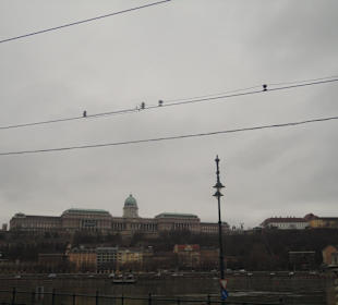 Burgberg / Burgpalast 