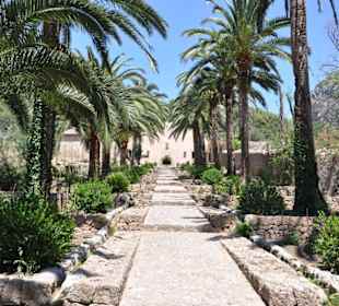 Von Palmen gesäumte Treppe - Eingang zum Garten