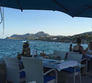 Ausblick von der Terasse