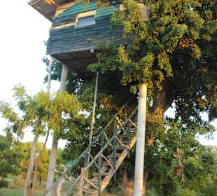 Ausflug mit Hotelleiter Kuma zum Yala Nationalpark