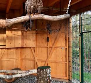 Hier sind die Tiere hinter einer Absperrung