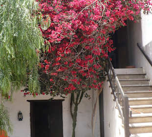 Museo Agrilcola El Patio - Tiagua