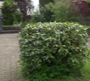 Evangelische Kirche Engeltal Hallwangen