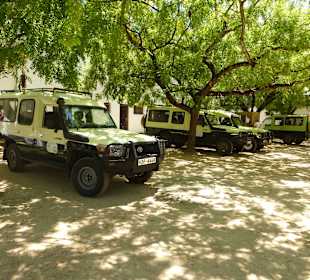 Ein Teil der Land Cruiser Flotte von DM Tours