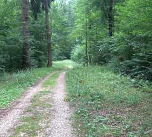 Hochgeträumt Premiumwanderung