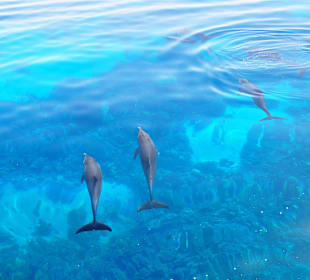 Sonnenuntergangstour