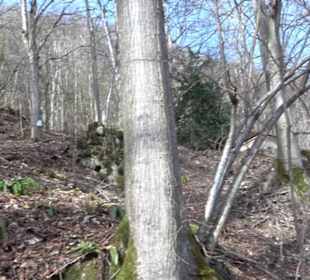 Wasserfallsteig
