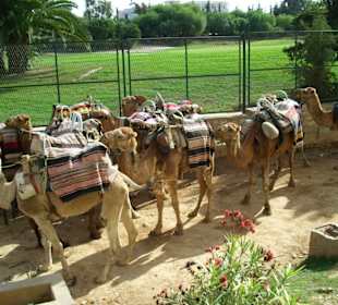 Startpunkt der Karawane