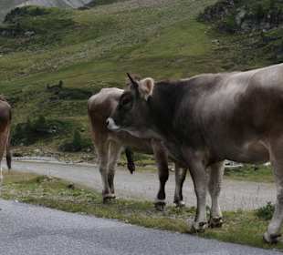 Kaunertaler Gletscherstrasse