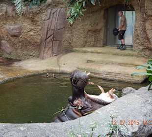 In Zoo