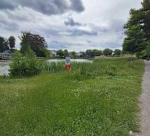 Seewoog in Ramstein-Miesenbach