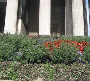 Blumen vor dem Eingang