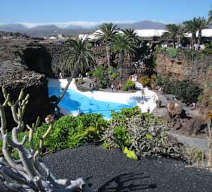 Schwimmbecken und Pflanzen im Jameo Grande 