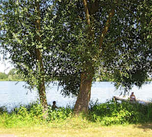Blick auf den Silbersee
