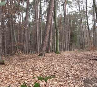 Unterjesinger Wengertwegle