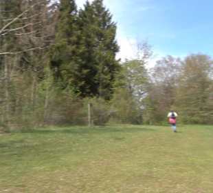 Premiumspazierwanderweg - Hochgehhütet
