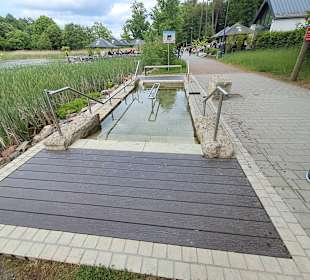 Seewoog in Ramstein-Miesenbach