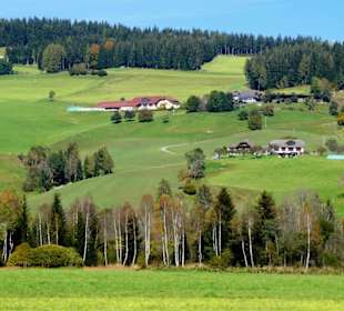 Dobramoor und die Strauch-Birke