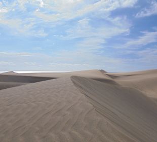 Dünen von Maspalomas