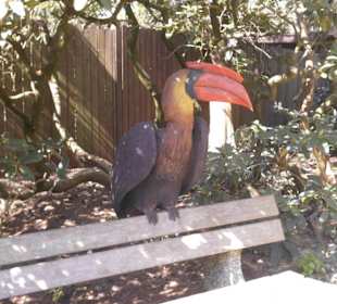 Weltvogelpark Walsrode