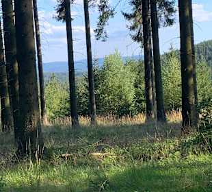 Wandern Friedrichroda