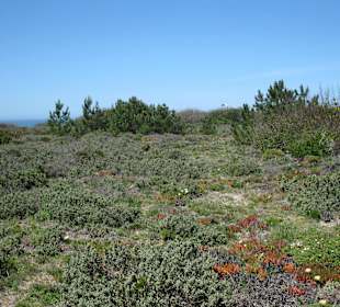 Zambujeira