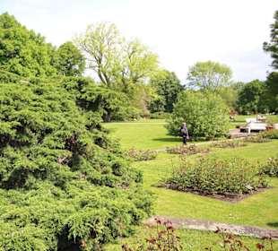 Blick in den Rosengarten