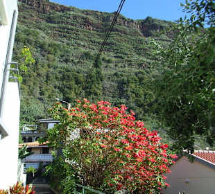 Gasse in Jardim do Mar