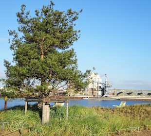 Spaziergang über den Waller Sand