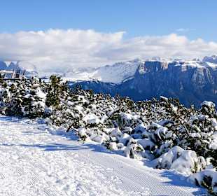Skigebiet Rittner Horn