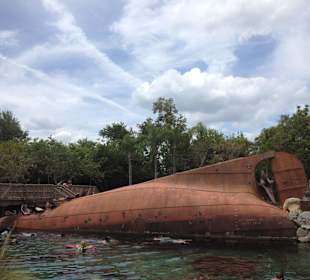 Disney's Typhoon Lagoon