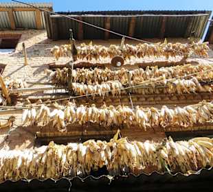 Mais hängt an den Häuserwänden