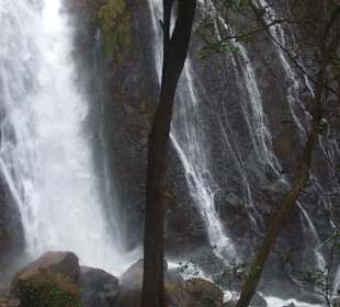Pura Vida Wasserfälle
