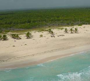 Reitausflug an unberührten Strand