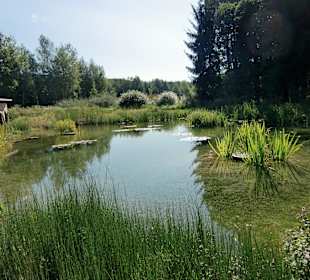 Natur pur