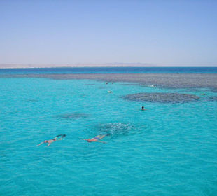 Korallenriff vor Hurghada