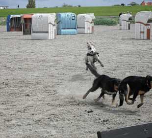 Hundestrand im benachbarten Ort 