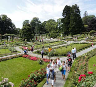 Insel Mainau 08/2017