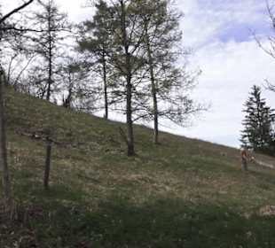 Wanderweg Hochgehswiggert