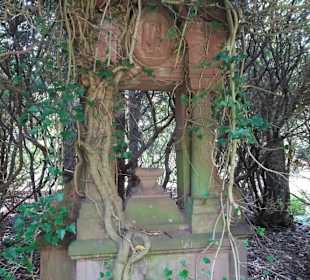 Rundgang über den Ohlsdorfer Friedhof