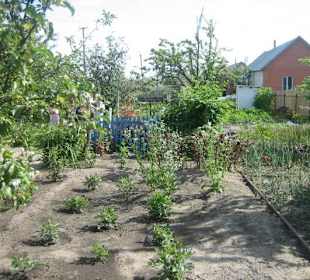 Blick auf das "Badehaus"
