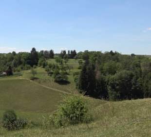 Burg Kräheneck Reusten