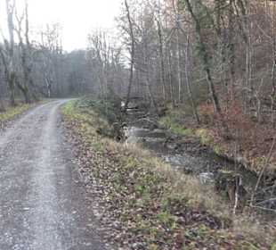 Schönbuch Schaichtal