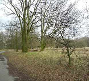 Naturschutzgebiet Boberger Niederung
