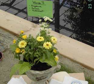 In der Blumenschau