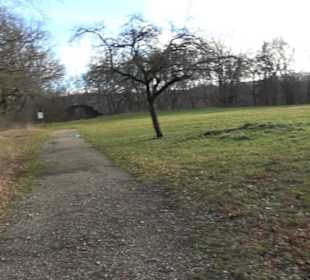 Burg Hofen Grabenstetten