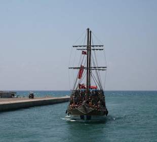 Delphintour